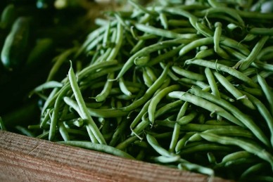 US Seasonal Eco Food Guide
