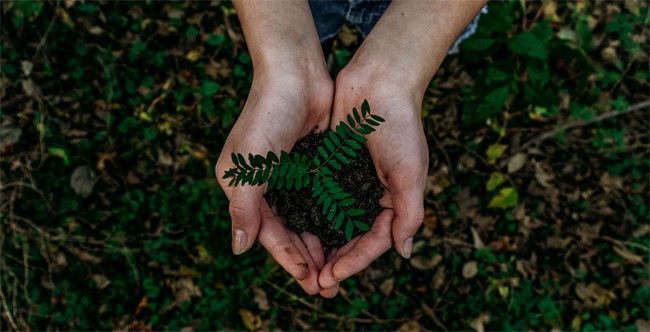 How to Live an Eco-Friendly Lifestyle on a Budget