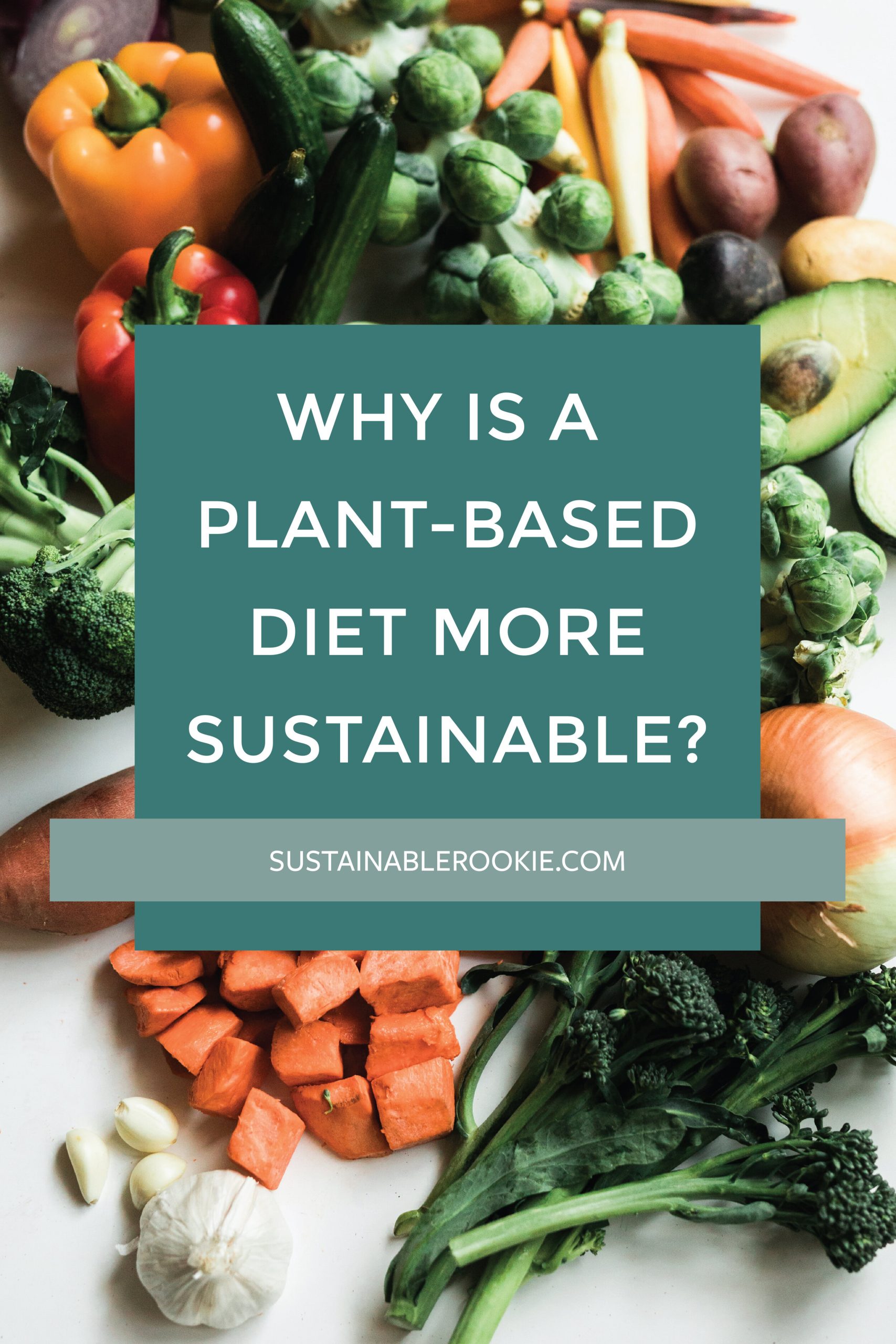 Is a Vegan Diet More Eco-Friendly?