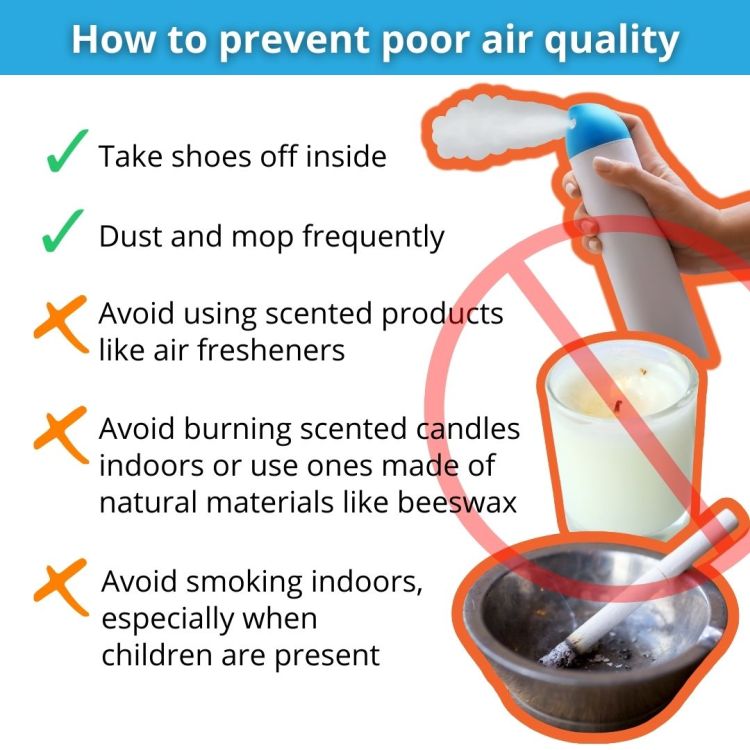 Natural Ways to Reduce Indoor Air Pollution