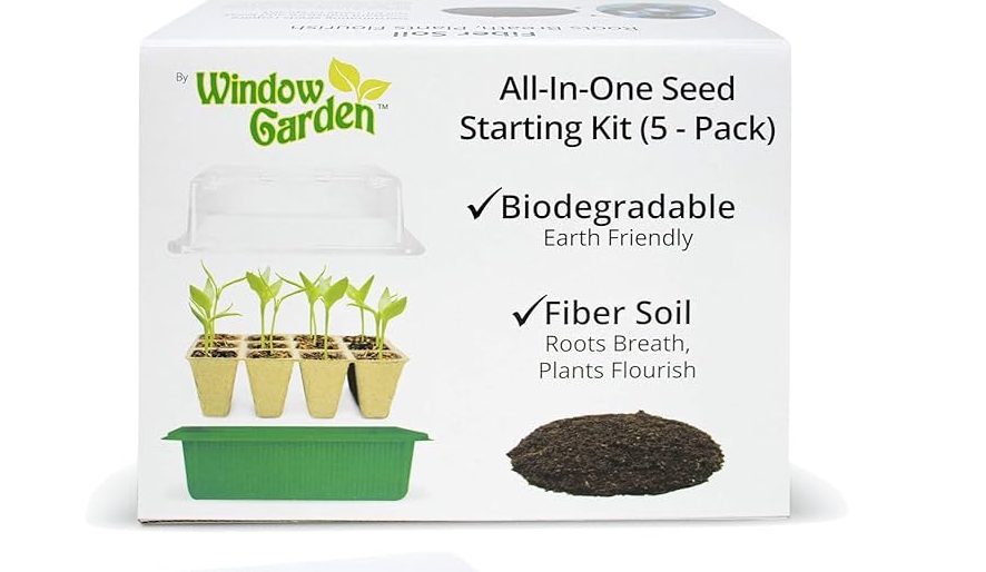Starting an Indoor Eco Herb Garden