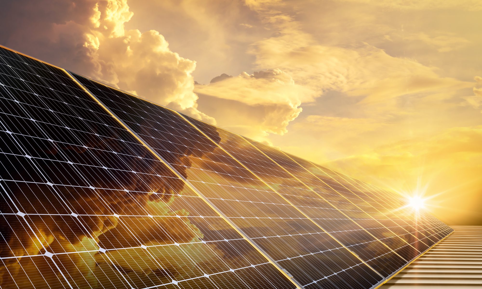 What Companies Use Solar Panels: Leading Innovators Shine