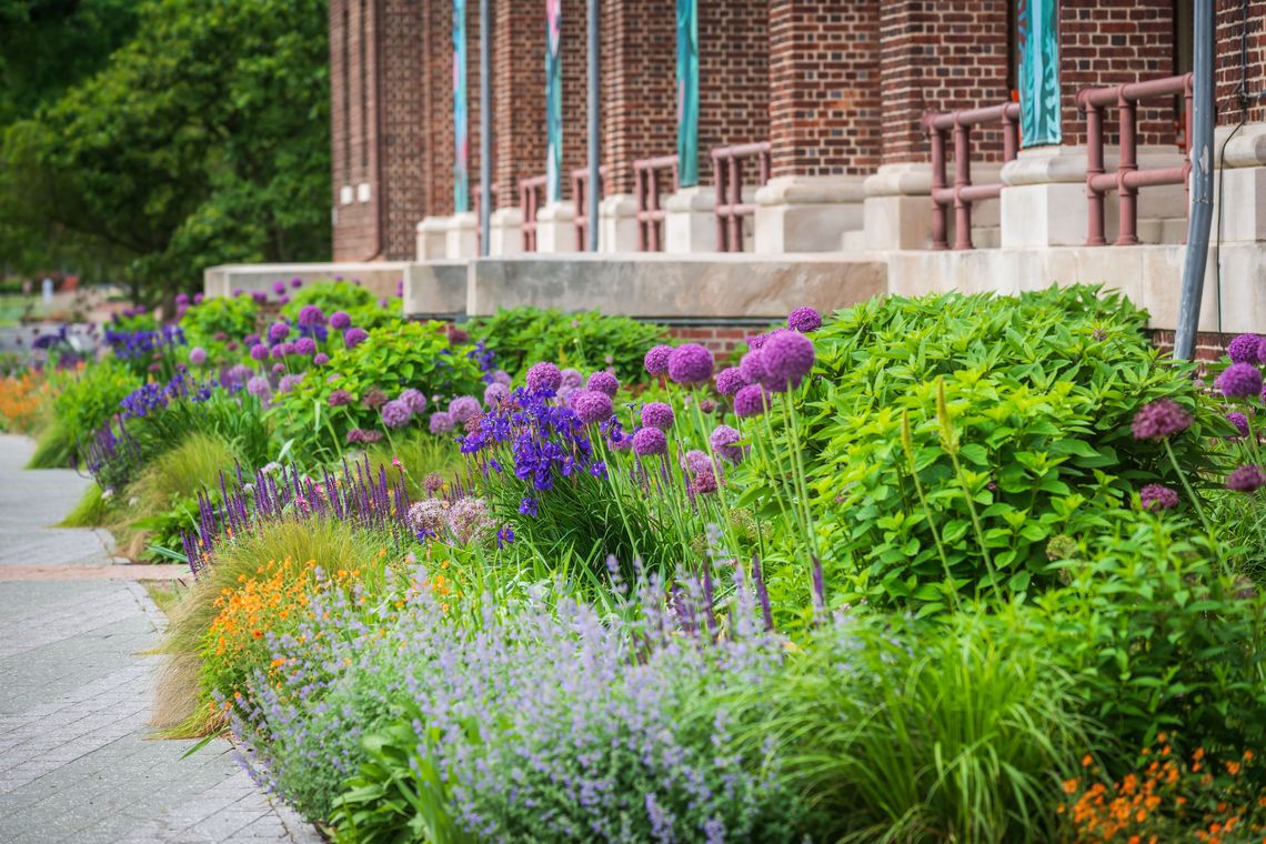 What Flowers are Good for Eco-Friendly Gardens