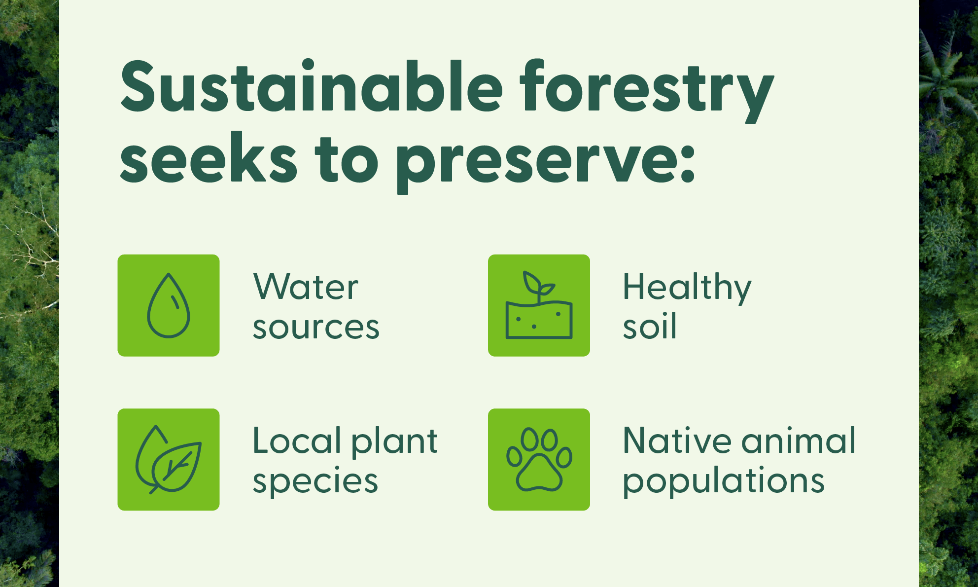 What'S the Best Eco-Friendly Forest Management for Paper Mills